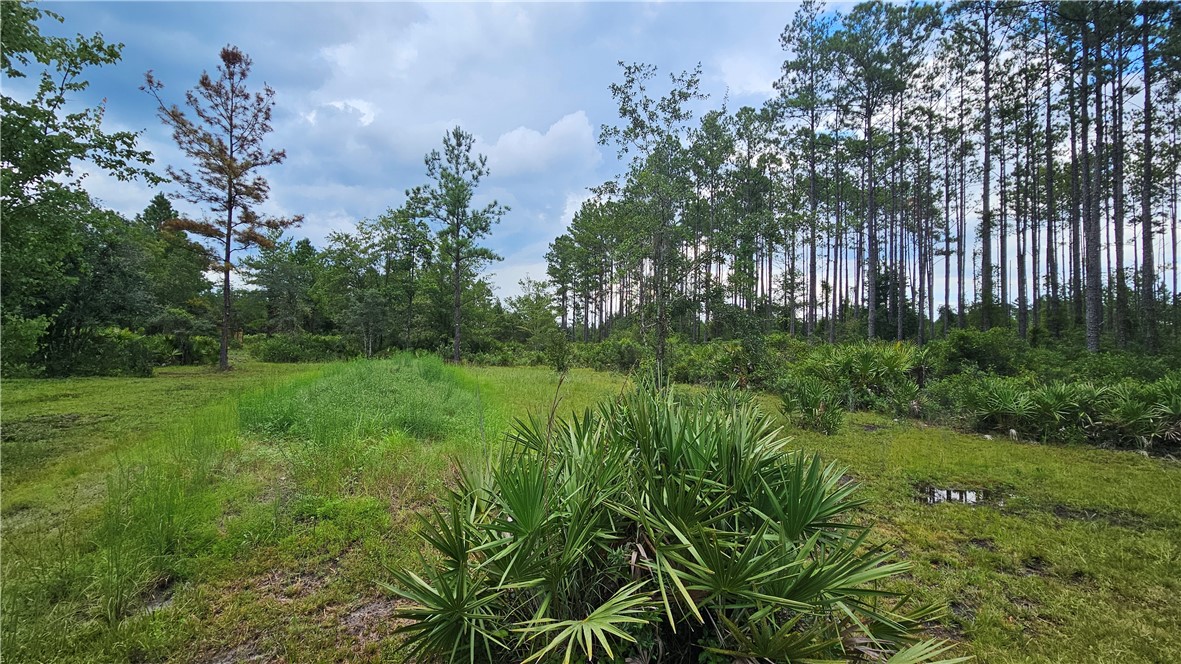 1705 Kings Bay Road Waverly, GA 31565 - Photo 5 of 8