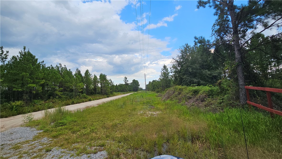 1705 Kings Bay Road Waverly, GA 31565 - Photo 8 of 8