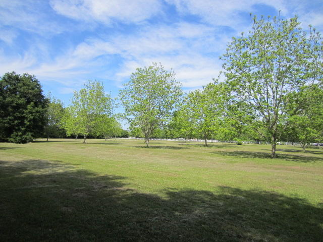 4741 Gibson Road Meggett, SC 29449 - Photo 42 of 56 271