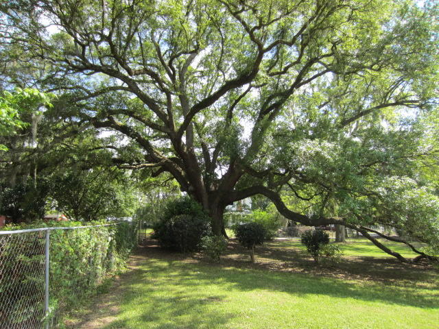 4741 Gibson Road Meggett, SC 29449 - Photo 48 of 56 286