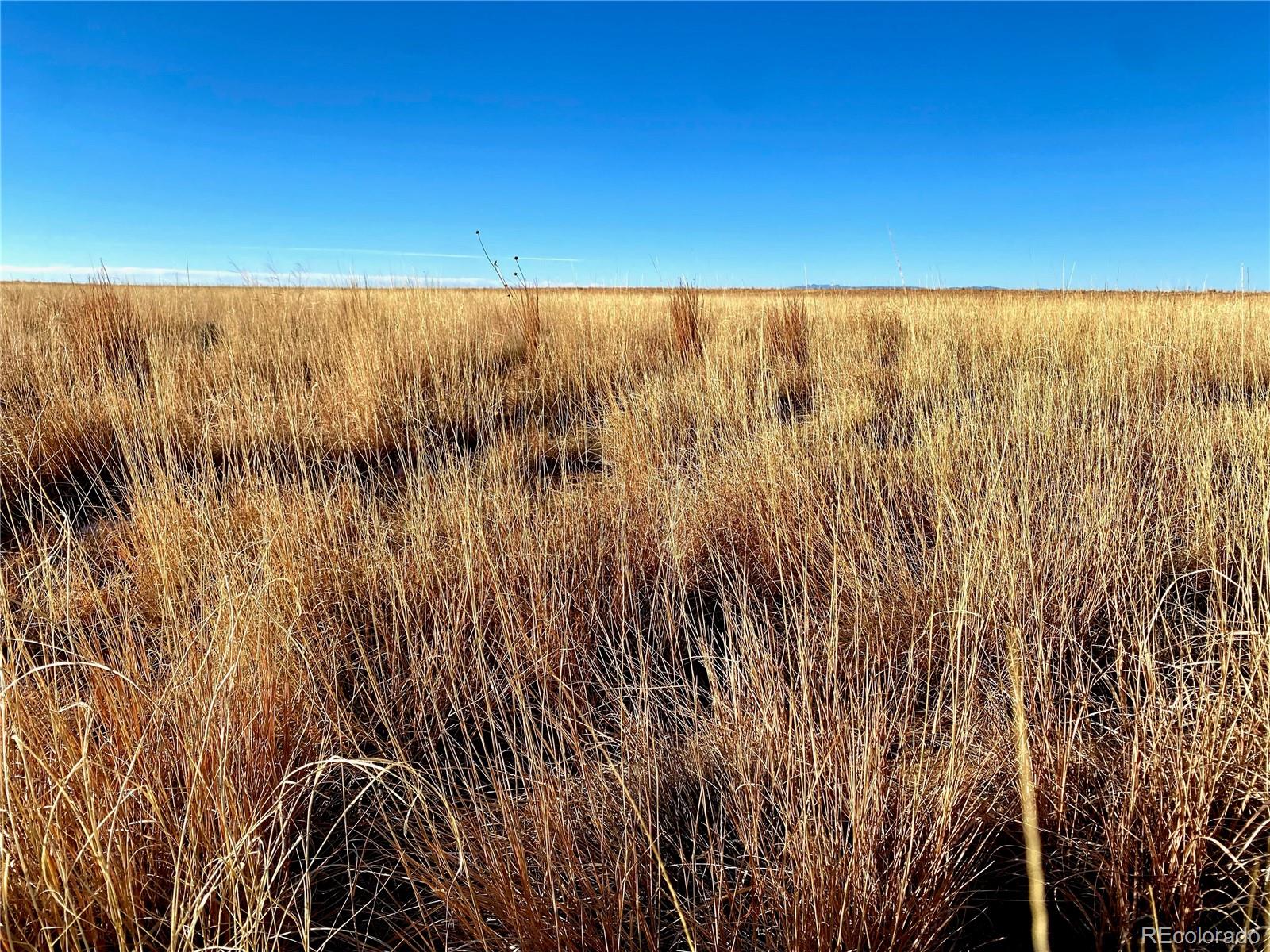 Prairie Hill Road Boone, CO 81025 - Photo 3 of 15