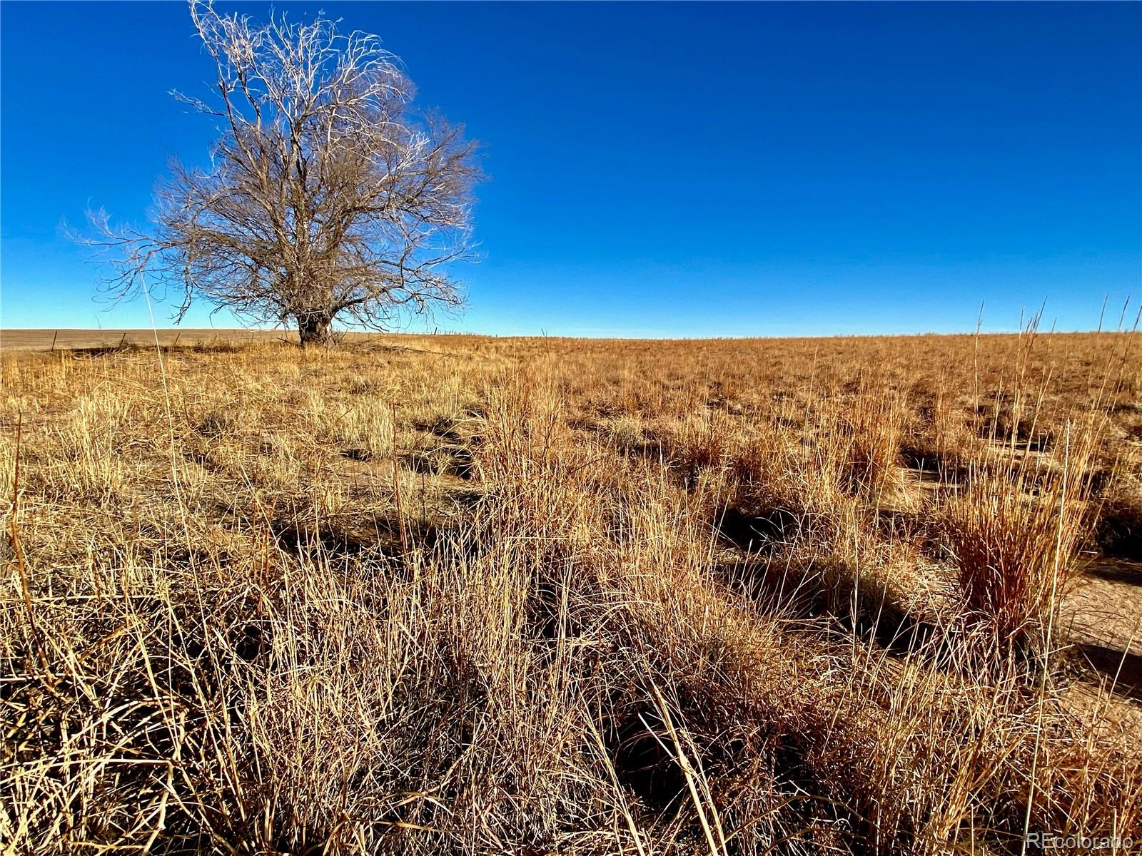 Prairie Hill Road Boone, CO 81025 - Photo 5 of 15