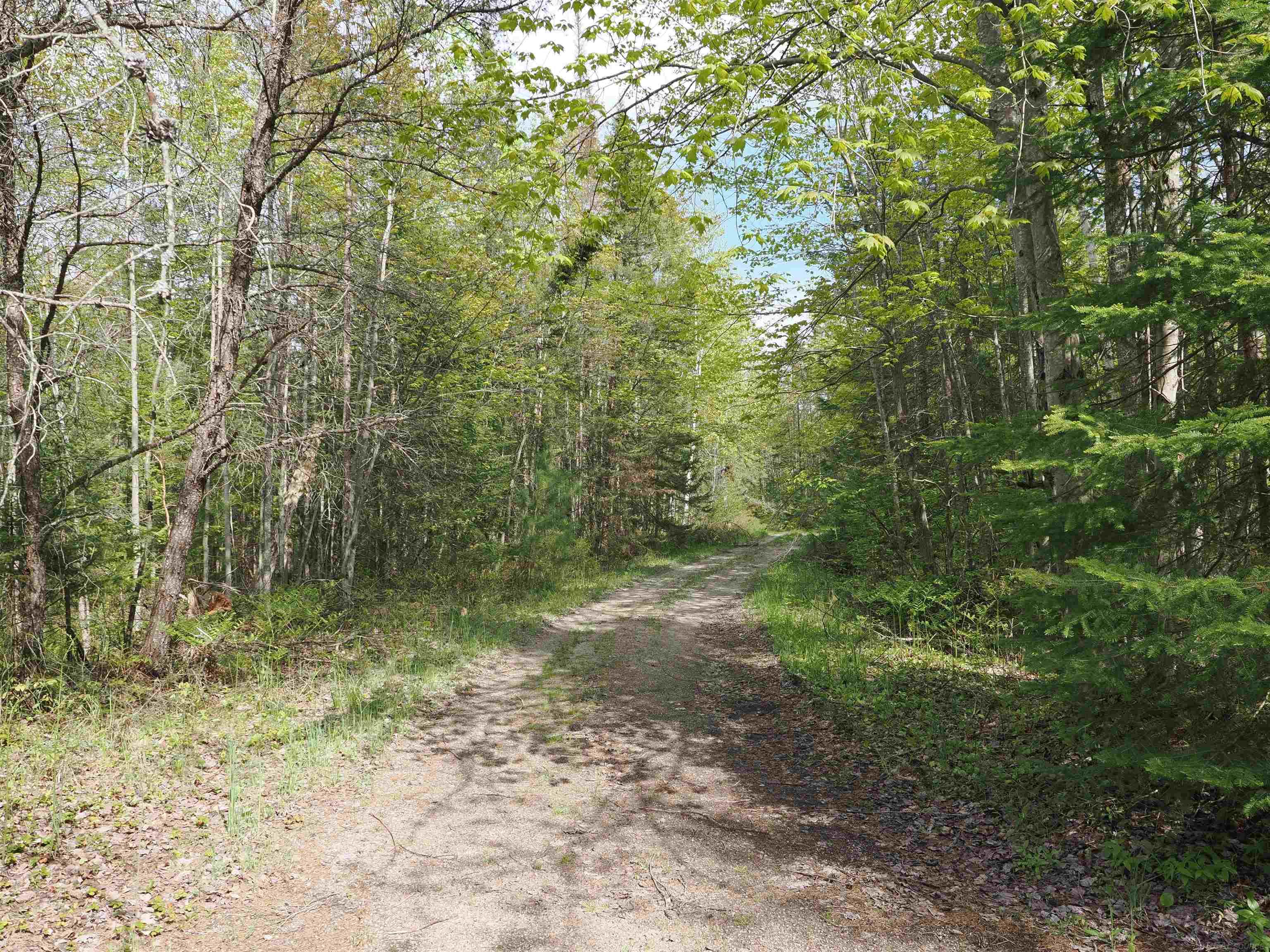 4011 Sandall Road Alpena, MI 49707 - Photo 29 of 73