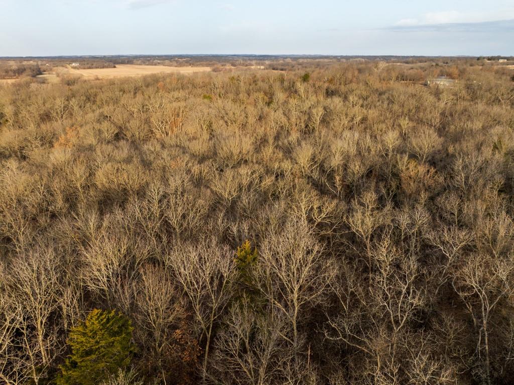 Tbd Northwest 871st Road Centerview, MO 64019 - Photo 16 of 60