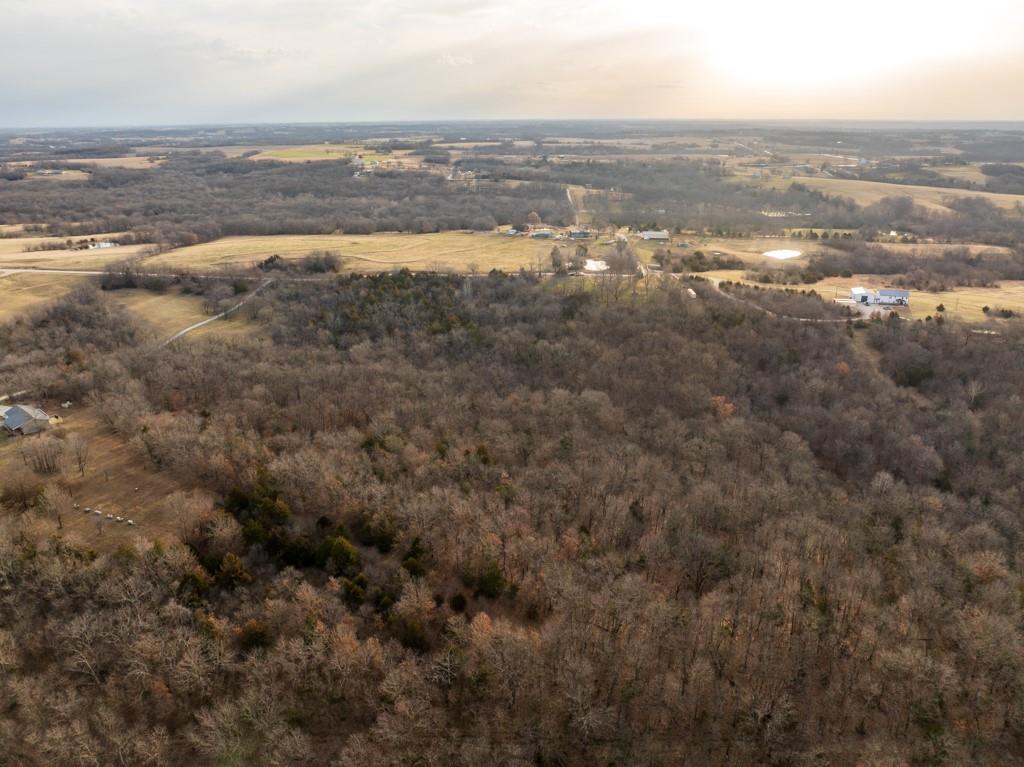 Tbd Northwest 871st Road Centerview, MO 64019 - Photo 19 of 60
