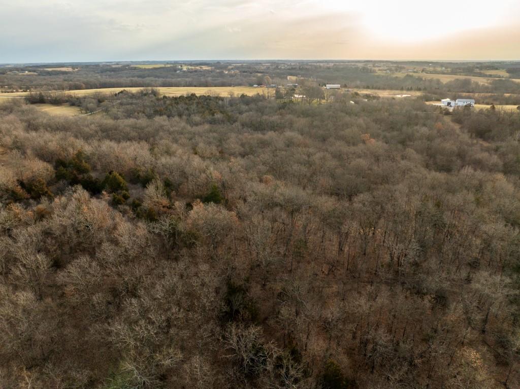 Tbd Northwest 871st Road Centerview, MO 64019 - Photo 20 of 60