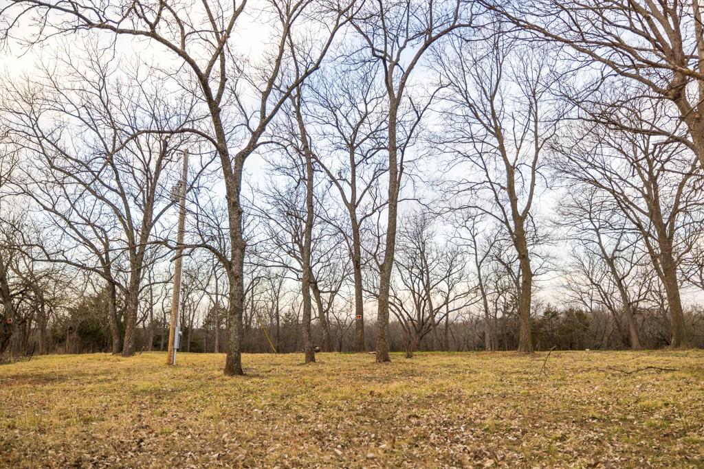 Tbd Northwest 871st Road Centerview, MO 64019 - Photo 28 of 60