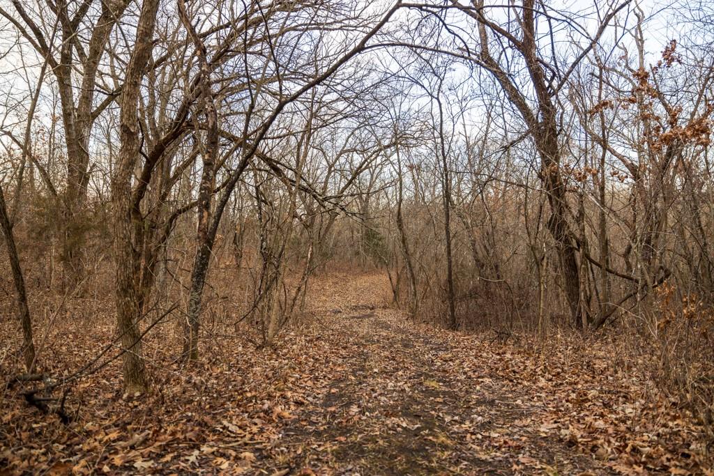 Tbd Northwest 871st Road Centerview, MO 64019 - Photo 38 of 60