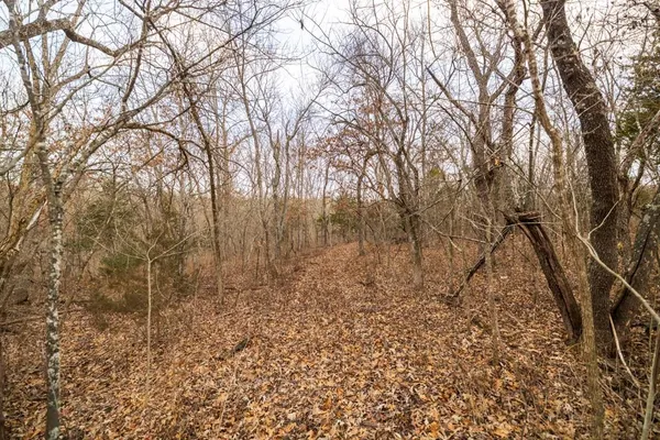 $325,000 | Tbd Northwest 871st Road, Centerview, MO 64019