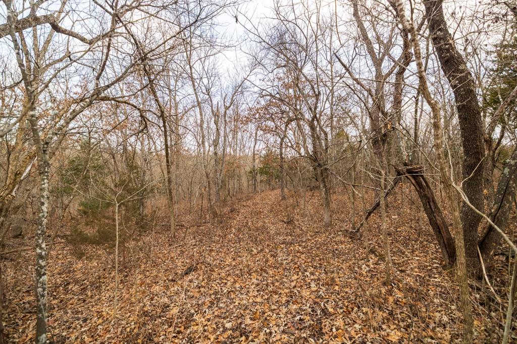 Tbd Northwest 871st Road Centerview, MO 64019 - Photo 39 of 60