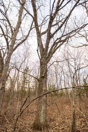 $325,000 | Tbd Northwest 871st Road, Centerview, MO 64019