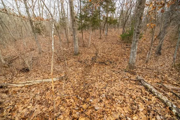 $325,000 | Tbd Northwest 871st Road, Centerview, MO 64019