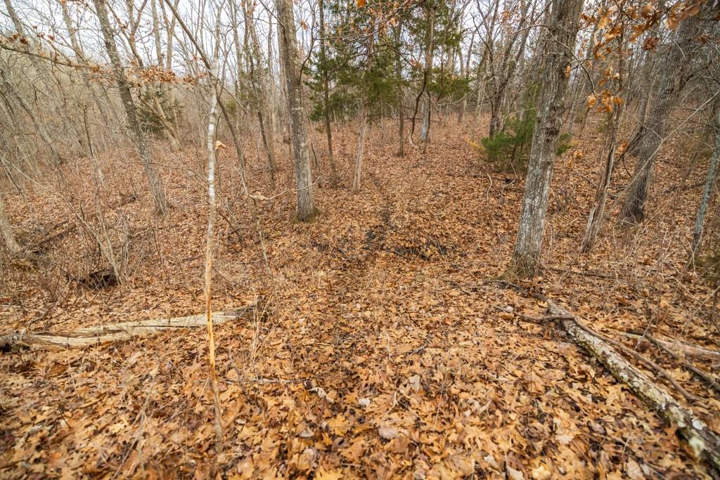 Tbd Northwest 871st Road Centerview, MO 64019 - Photo 42 of 60