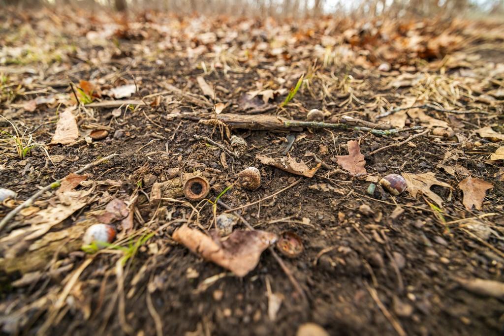 Tbd Northwest 871st Road Centerview, MO 64019 - Photo 44 of 60