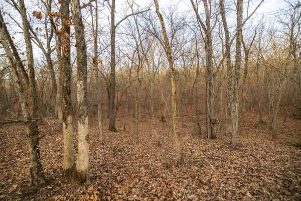 $325,000 | Tbd Northwest 871st Road, Centerview, MO 64019