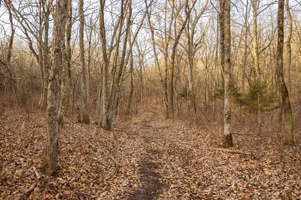 $325,000 | Tbd Northwest 871st Road, Centerview, MO 64019