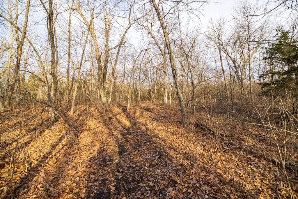 Tbd Northwest 871st Road Centerview, MO 64019 - Photo 54 of 60