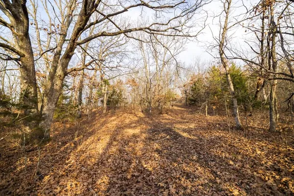 $325,000 | Tbd Northwest 871st Road, Centerview, MO 64019