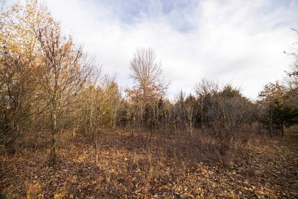 Tbd Northwest 871st Road Centerview, MO 64019 - Photo 56 of 60