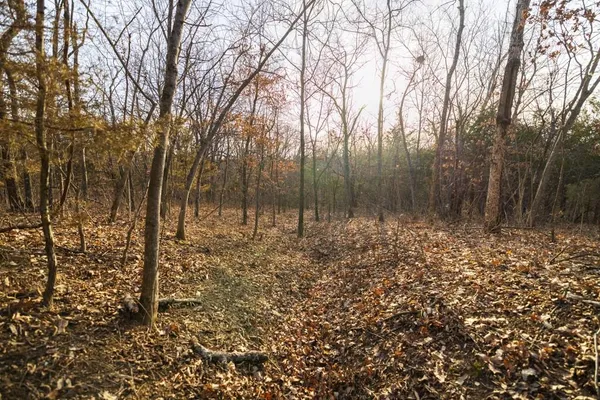 $325,000 | Tbd Northwest 871st Road, Centerview, MO 64019