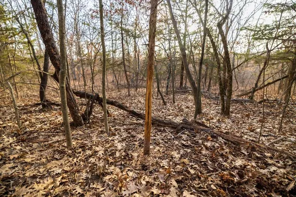 $325,000 | Tbd Northwest 871st Road, Centerview, MO 64019