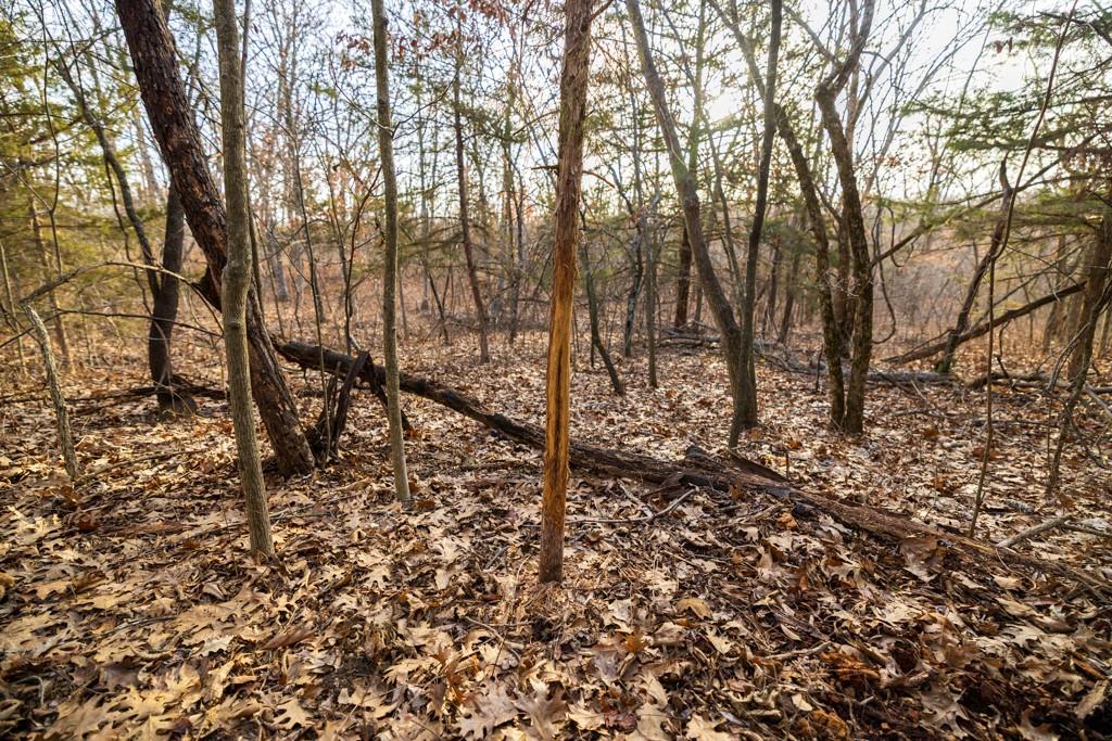 Tbd Northwest 871st Road Centerview, MO 64019 - Photo 58 of 60