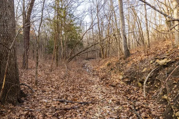 $325,000 | Tbd Northwest 871st Road, Centerview, MO 64019