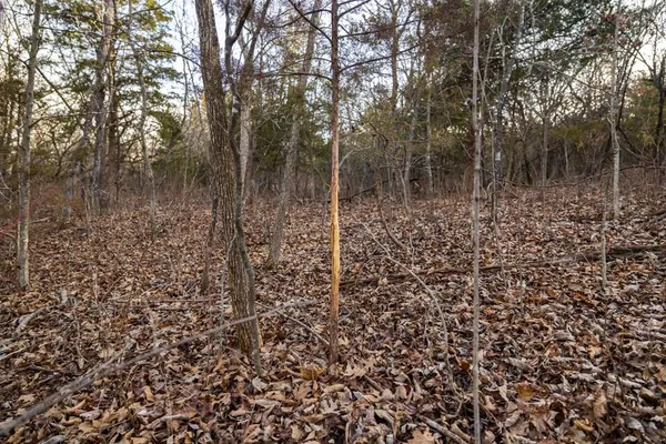 $325,000 | Tbd Northwest 871st Road, Centerview, MO 64019