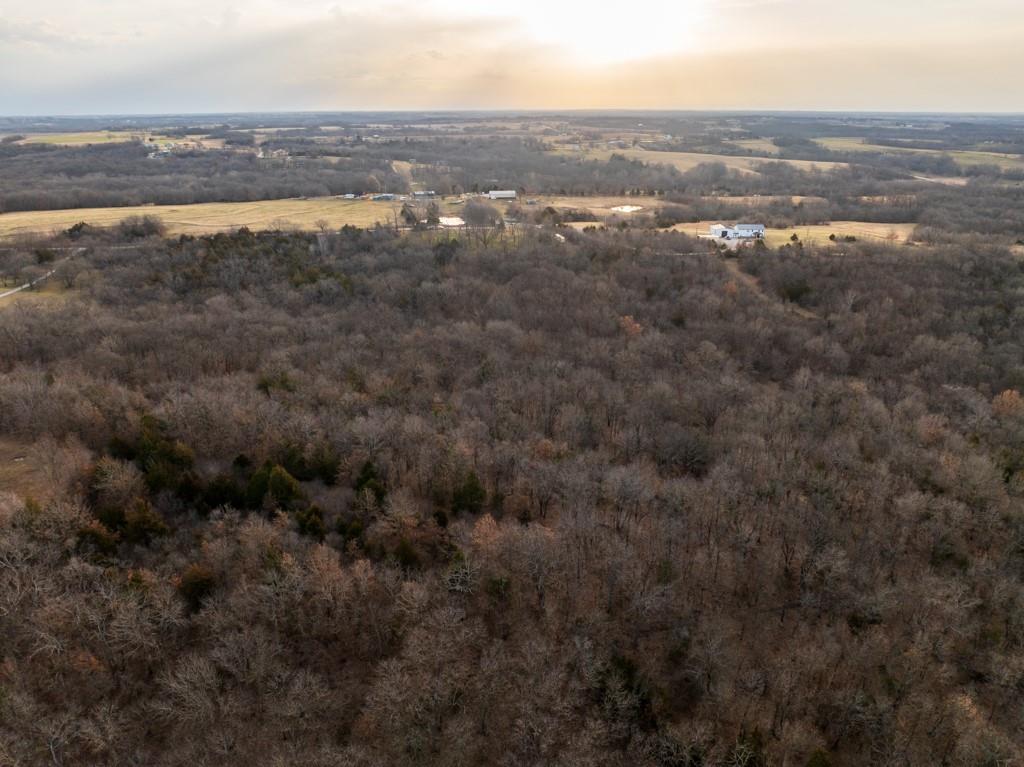 Tbd Northwest 871st Road Centerview, MO 64019 - Photo 8 of 60