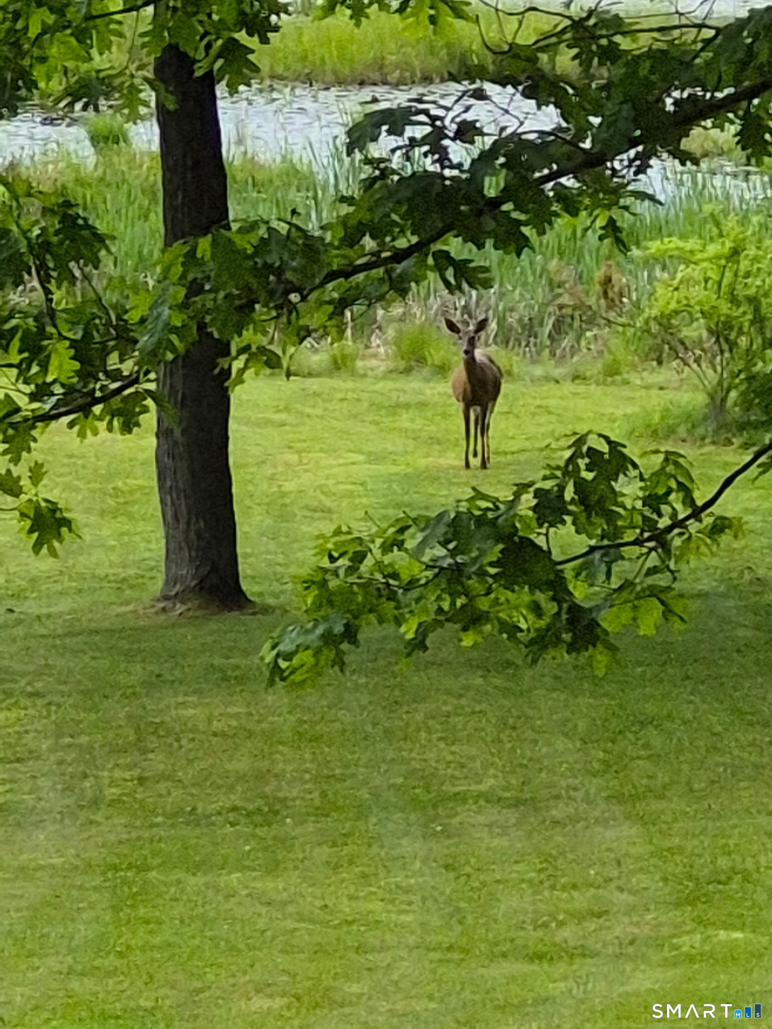 102 Drown Road Pomfret, CT 06259 - Photo 10 of 16