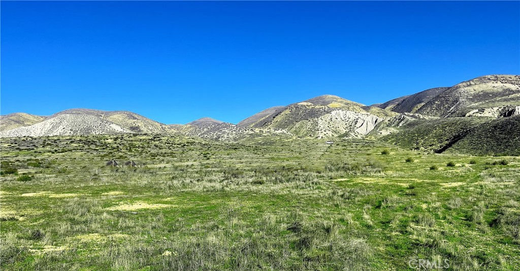 13323 Altahoe Road Santa Margarita, CA 93453 - Photo 1 of 5 a view of a large mountain with trees in the background