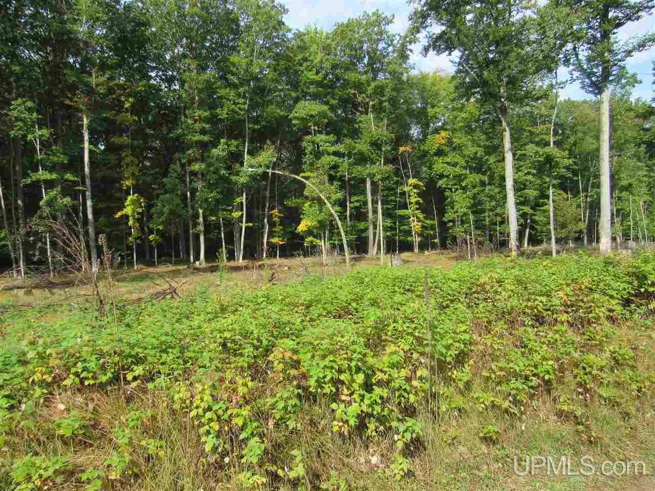 Tbd Ff Road, Unit 13A Garden, MI 49835 - Photo 1 of 8