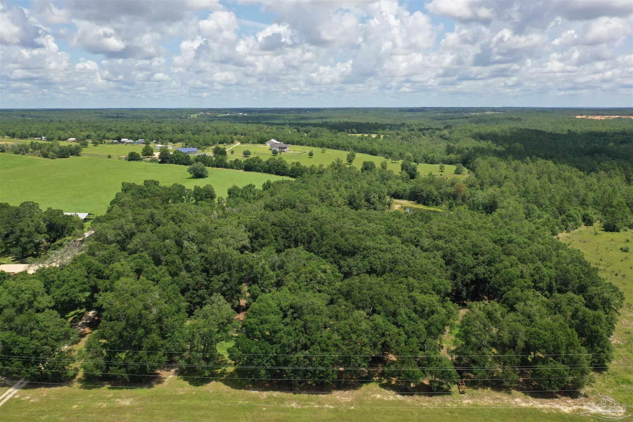 4929 Gilmore Road, Unit LOT 6 Baker, FL 32531 - Photo 3 of 11