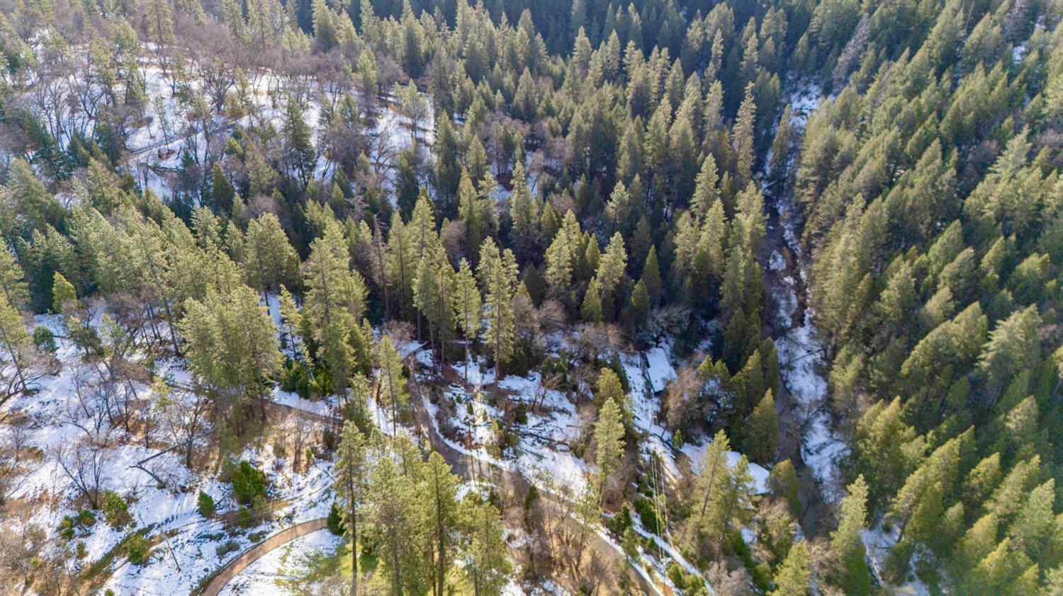 1191 Barney Way West Point, CA 95255 - Photo 19 of 19 a view of a forest with a tree