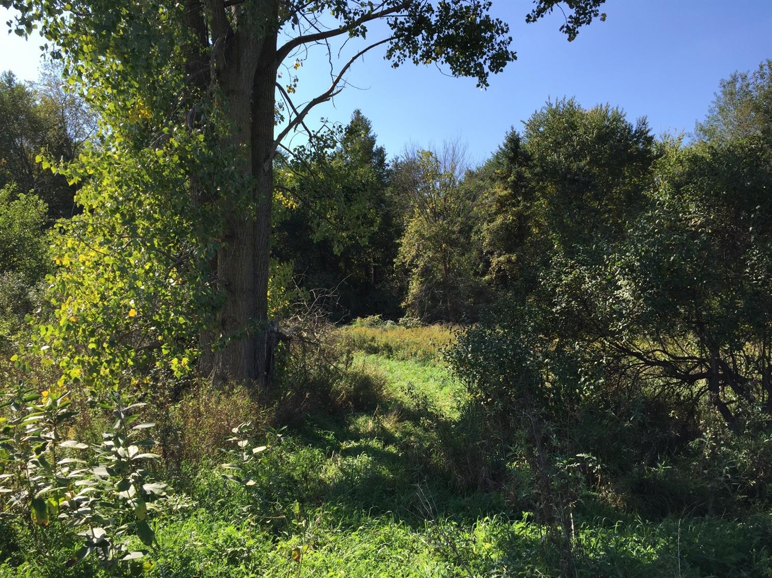 10560 Clinton Road Manchester, MI 48158 - Photo 10 of 15 Photo 10