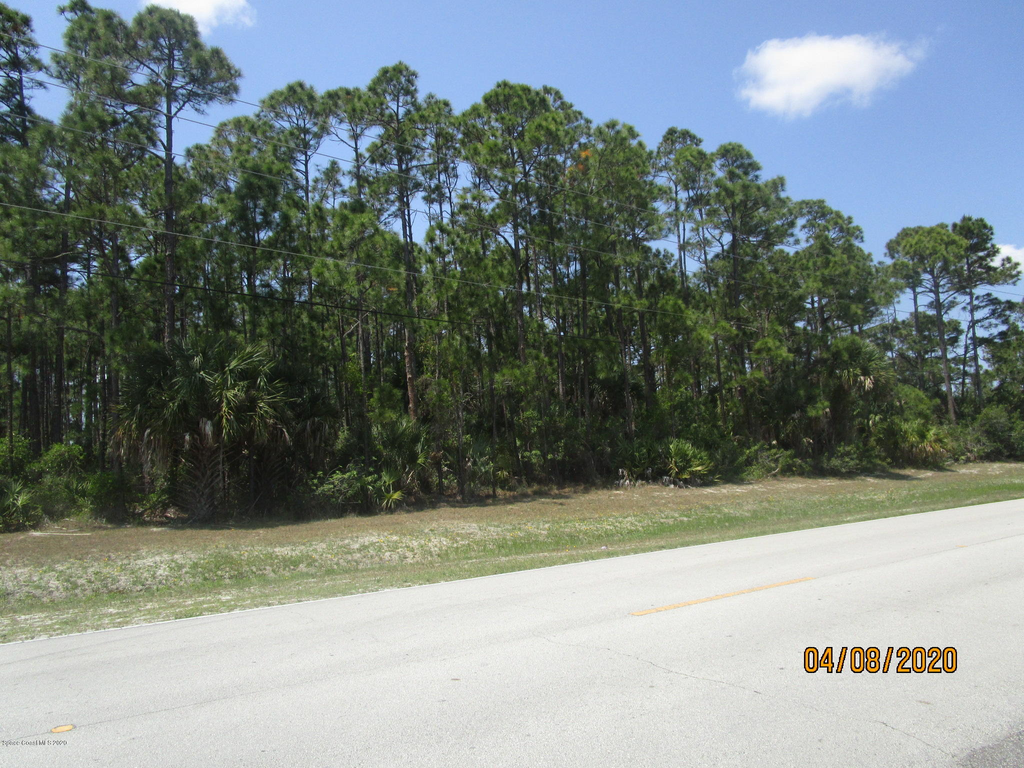 2588 Southwest De Groodt Road Palm Bay, FL 32908 - Photo 3 of 4 IMG_0030
