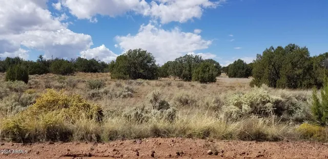 $49,650 | 3908-71a Hidden Ranch Road, Unit 71A, Snowflake, AZ 85937