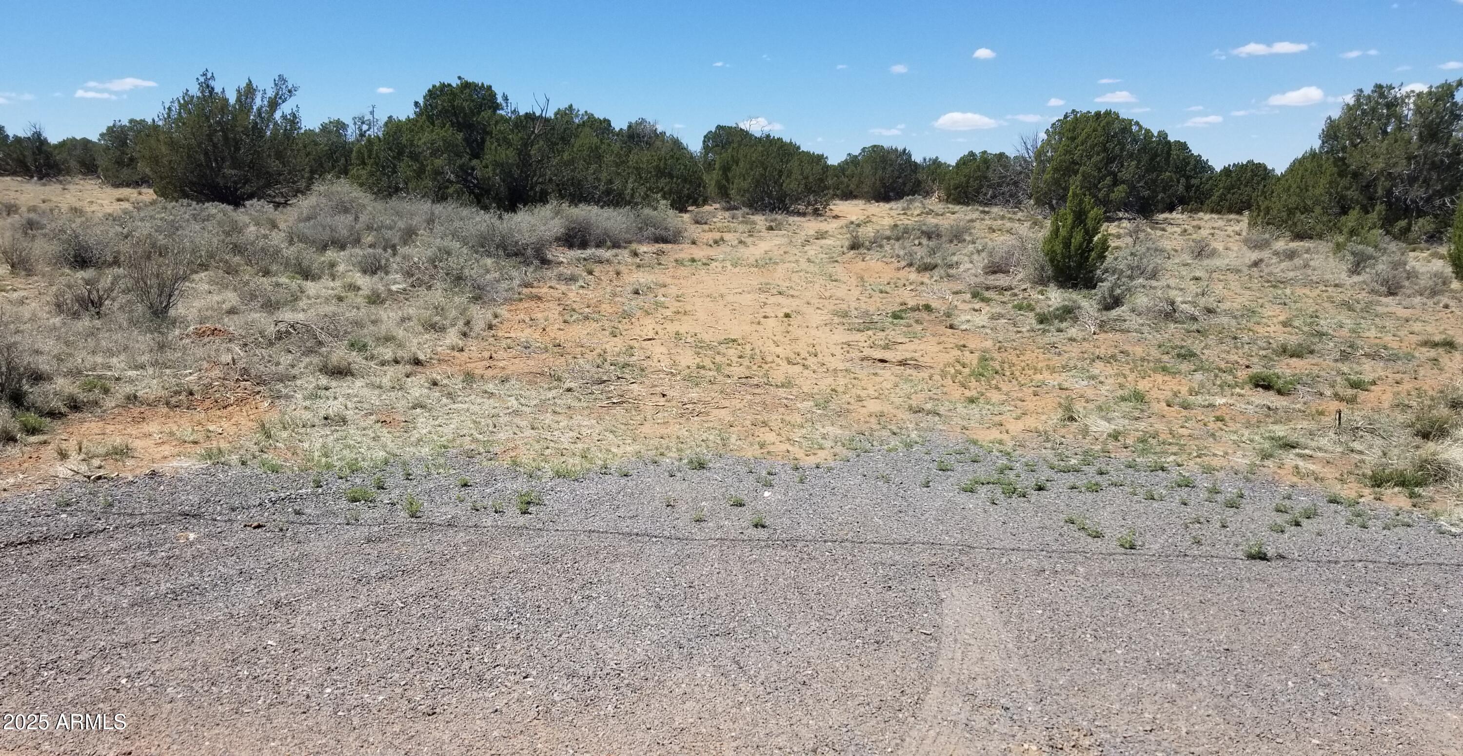 3908-71a Hidden Ranch Road, Unit 71A Snowflake, AZ 85937 - Photo 3 of 3 Split driveway access