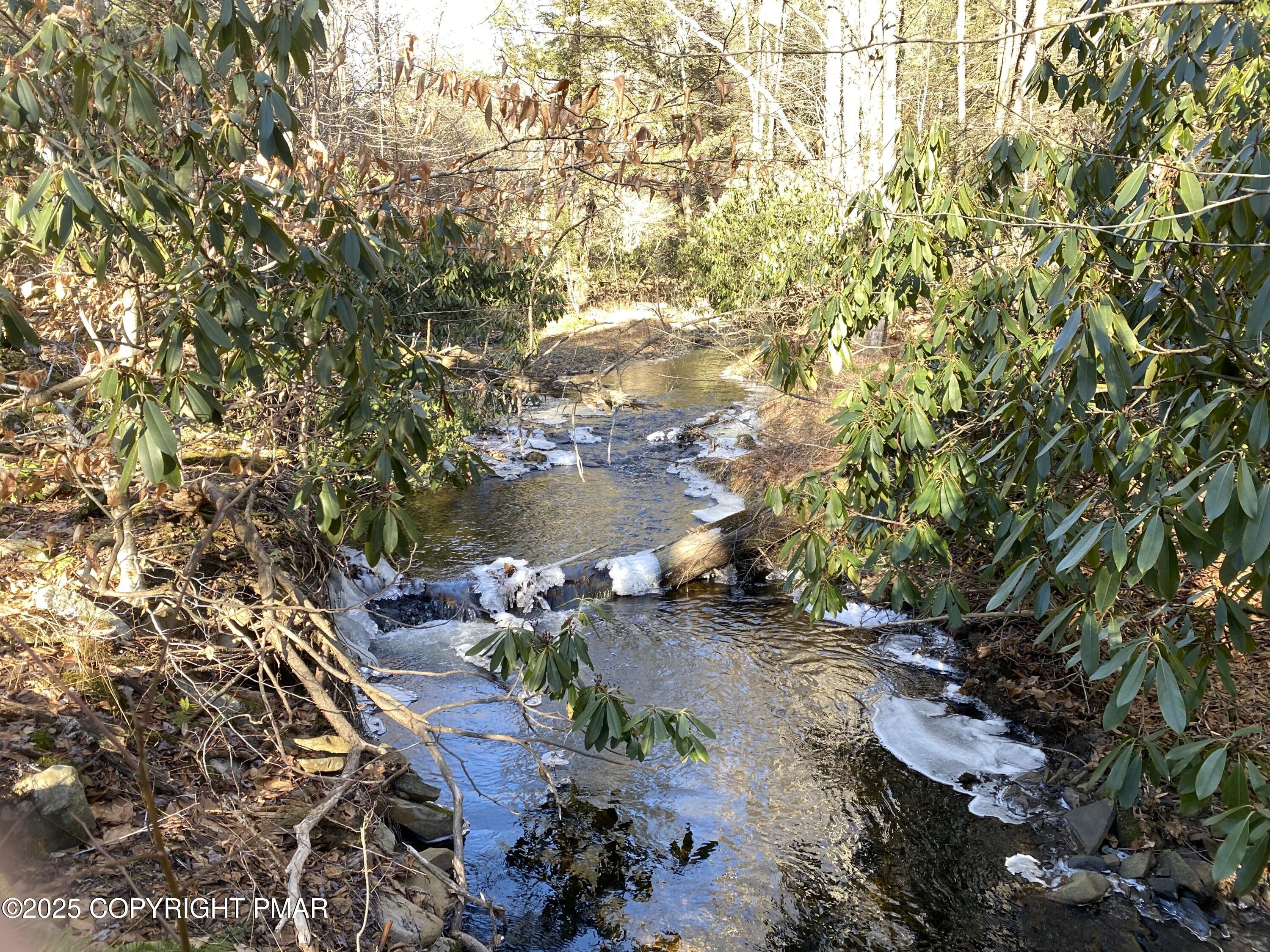 196 & 507 Newfoundland, PA 18445 - Photo 12 of 22 a view of backyard of house with green space