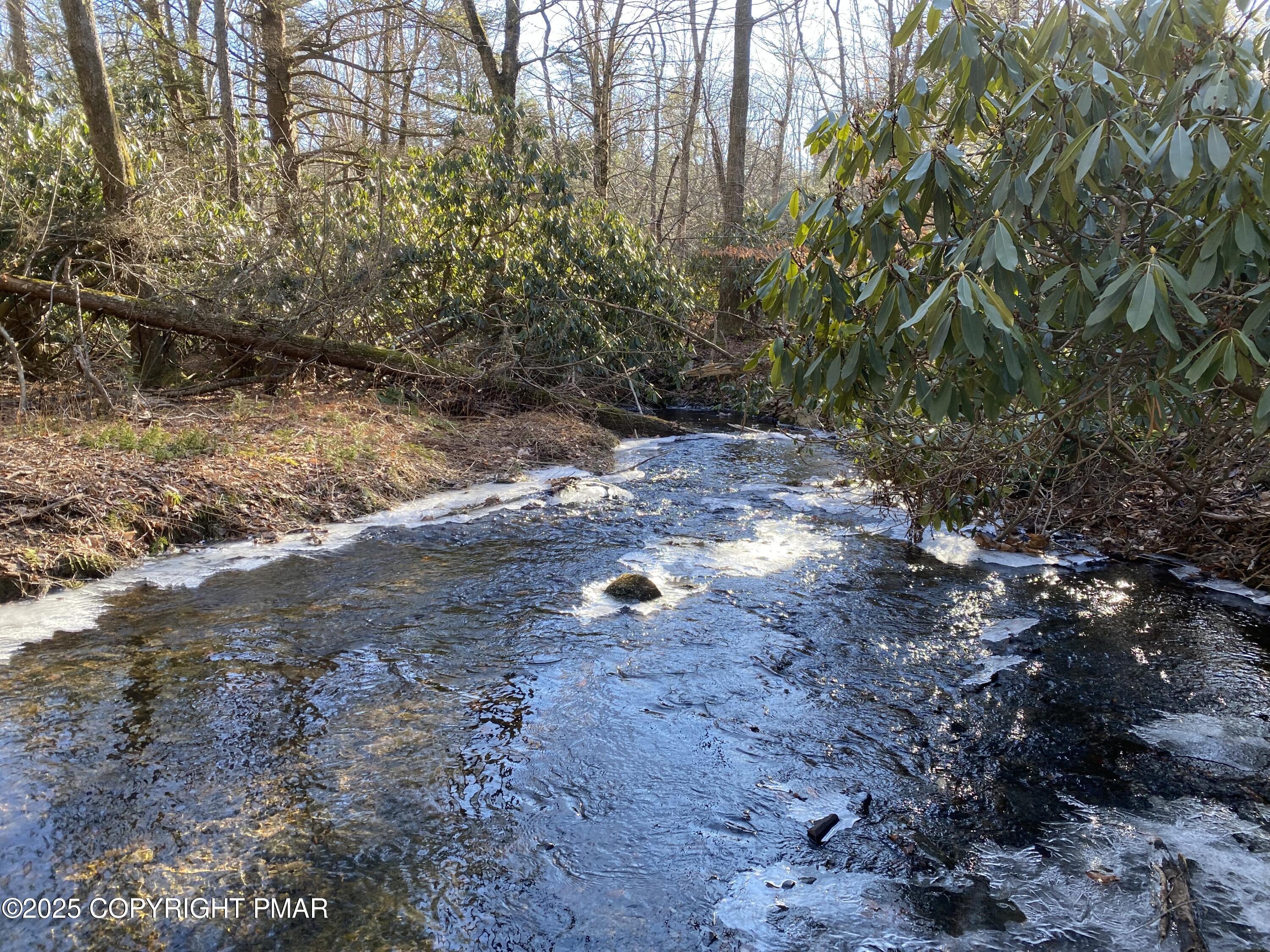 196 & 507 Newfoundland, PA 18445 - Photo 14 of 22 a view of a yard with plants and trees