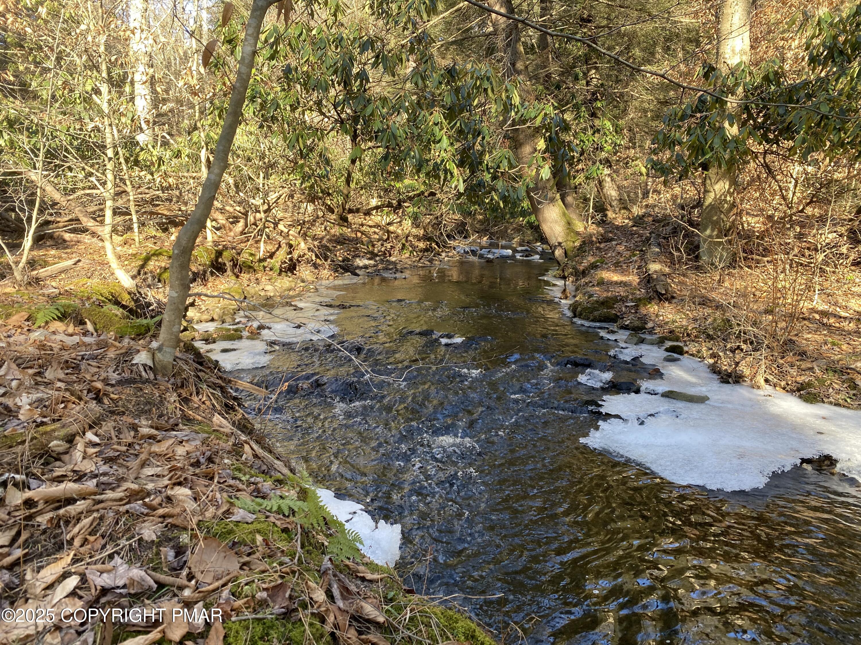 196 & 507 Newfoundland, PA 18445 - Photo 16 of 22 a picture of tree
