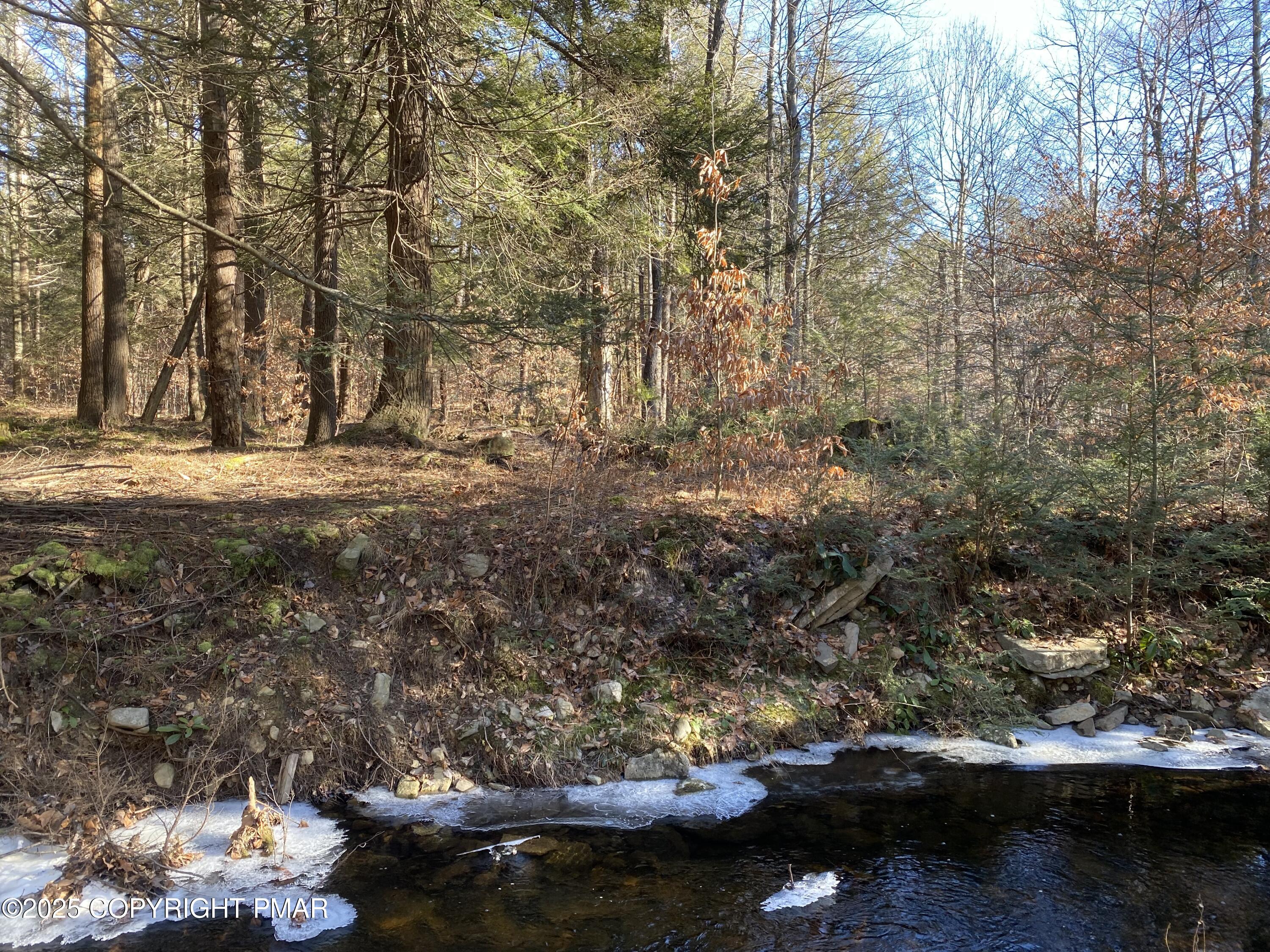196 & 507 Newfoundland, PA 18445 - Photo 17 of 22 a view of a lake with houses