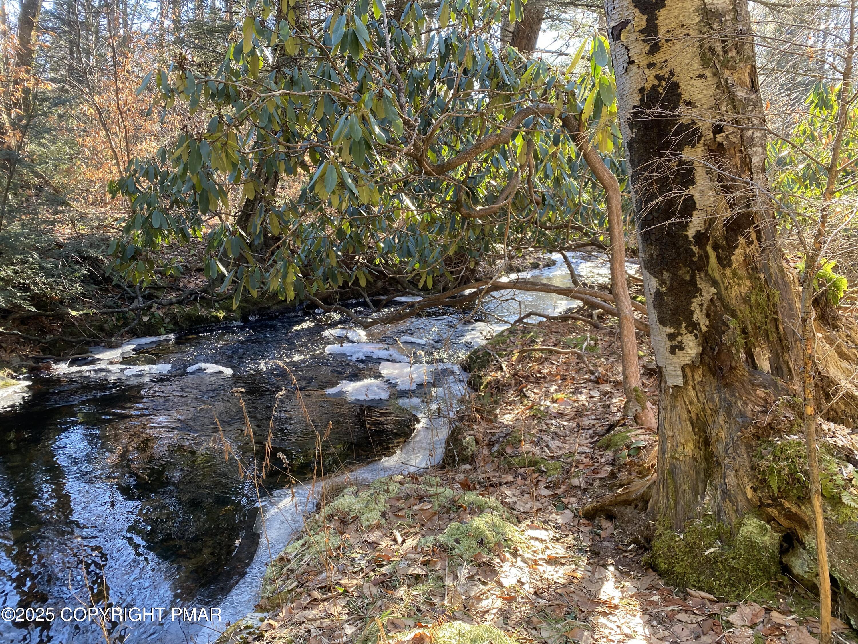 196 & 507 Newfoundland, PA 18445 - Photo 18 of 22