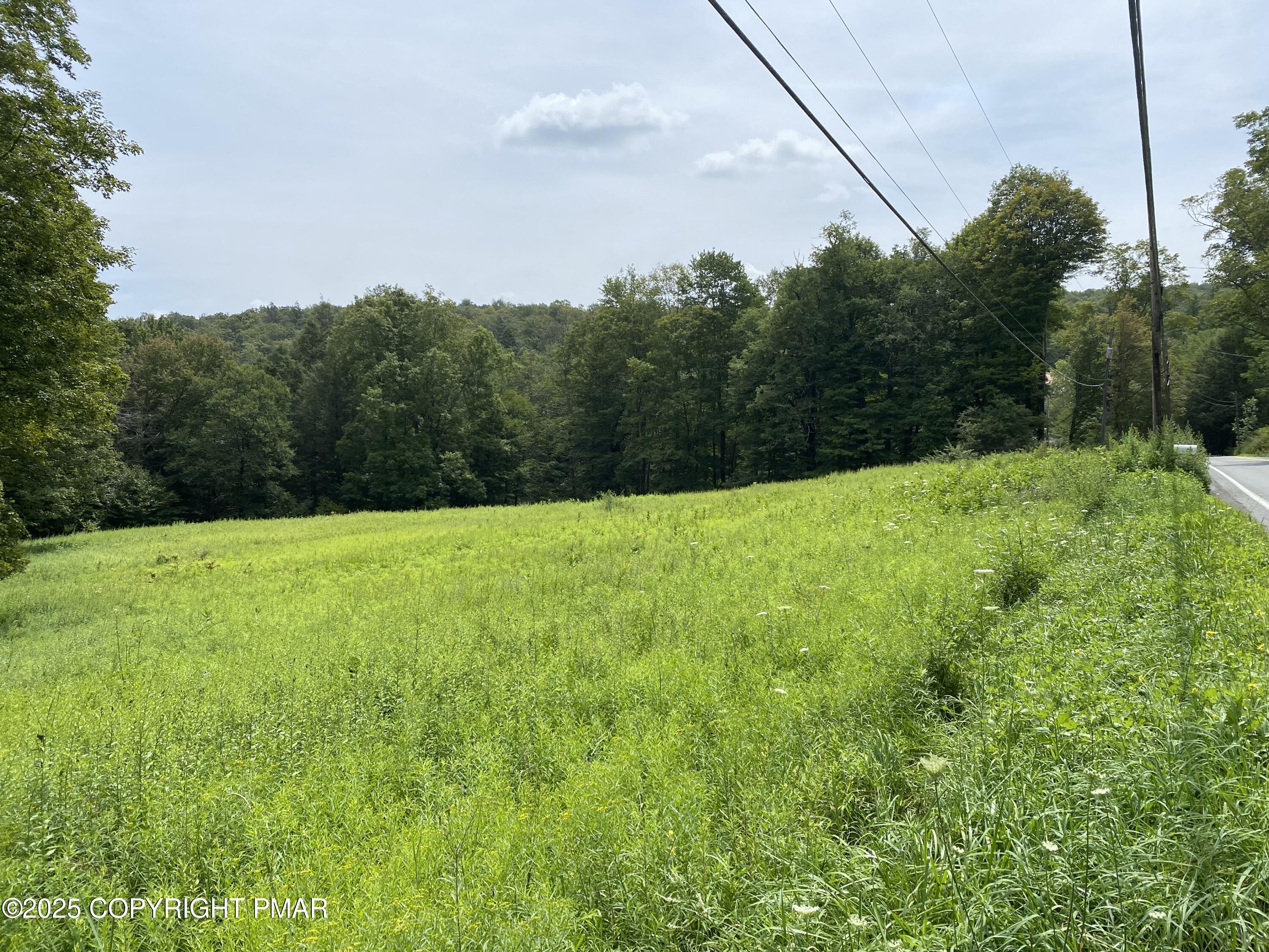 196 & 507 Newfoundland, PA 18445 - Photo 2 of 22 a backyard of a house with lots of green space