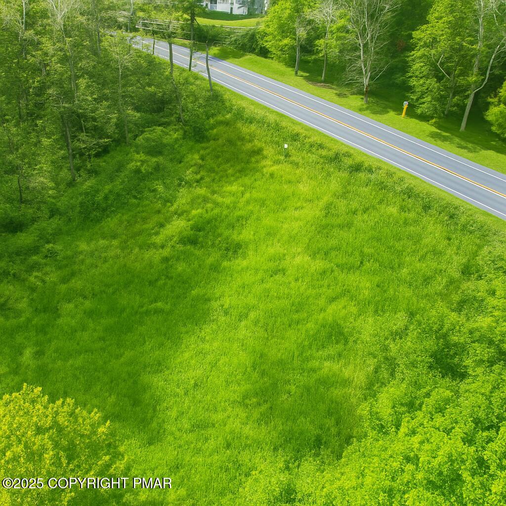 196 & 507 Newfoundland, PA 18445 - Photo 22 of 22 a view of a yard with a bench and trees