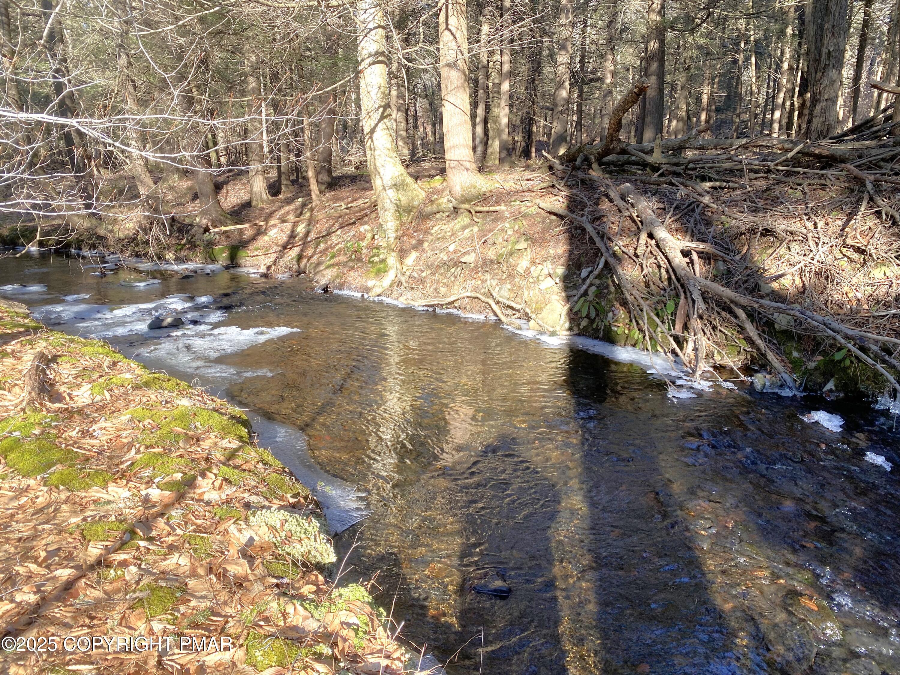 196 & 507 Newfoundland, PA 18445 - Photo 3 of 22 a view of outdoor space with garden