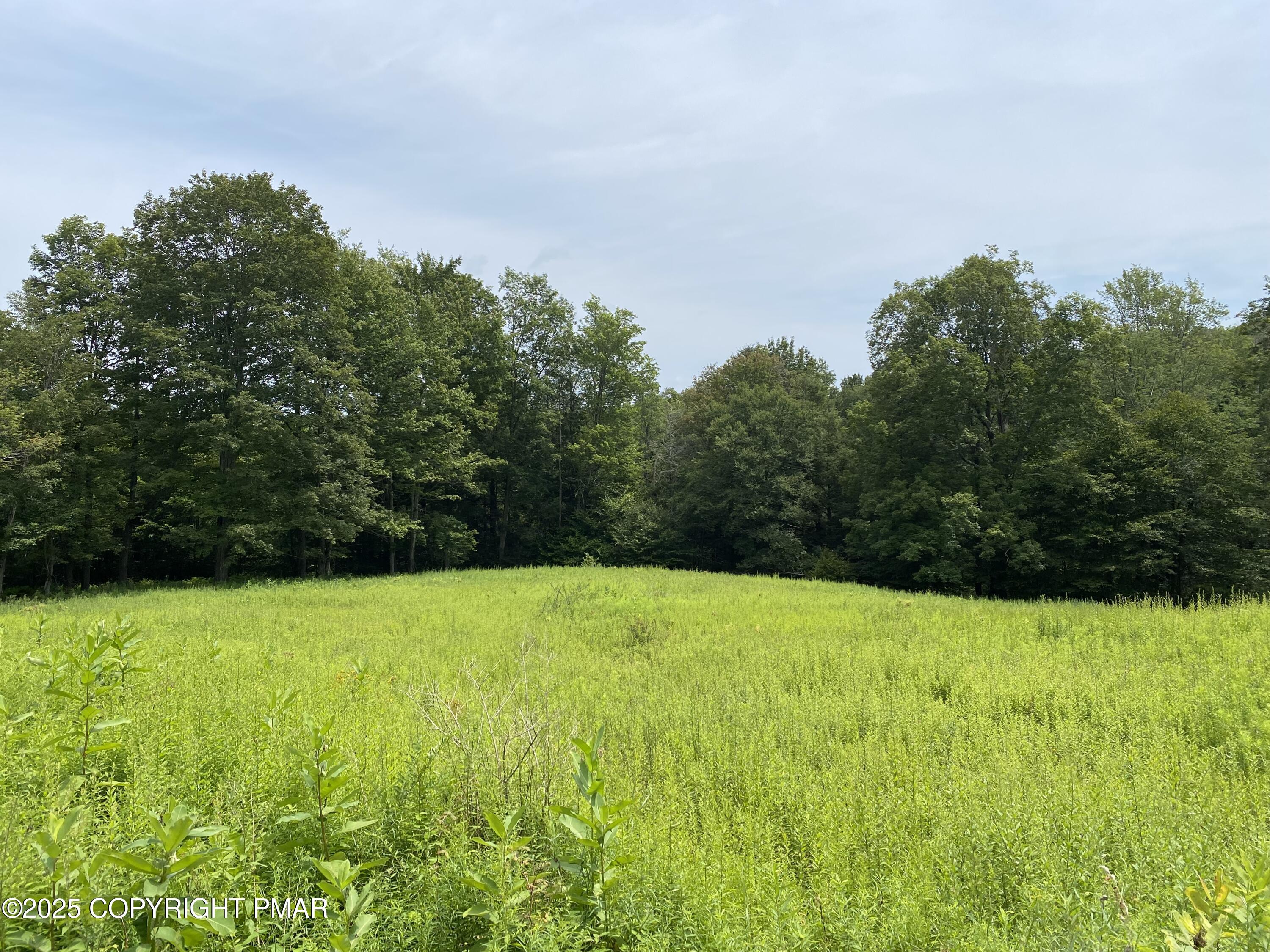 196 & 507 Newfoundland, PA 18445 - Photo 5 of 22 a view of an ocean