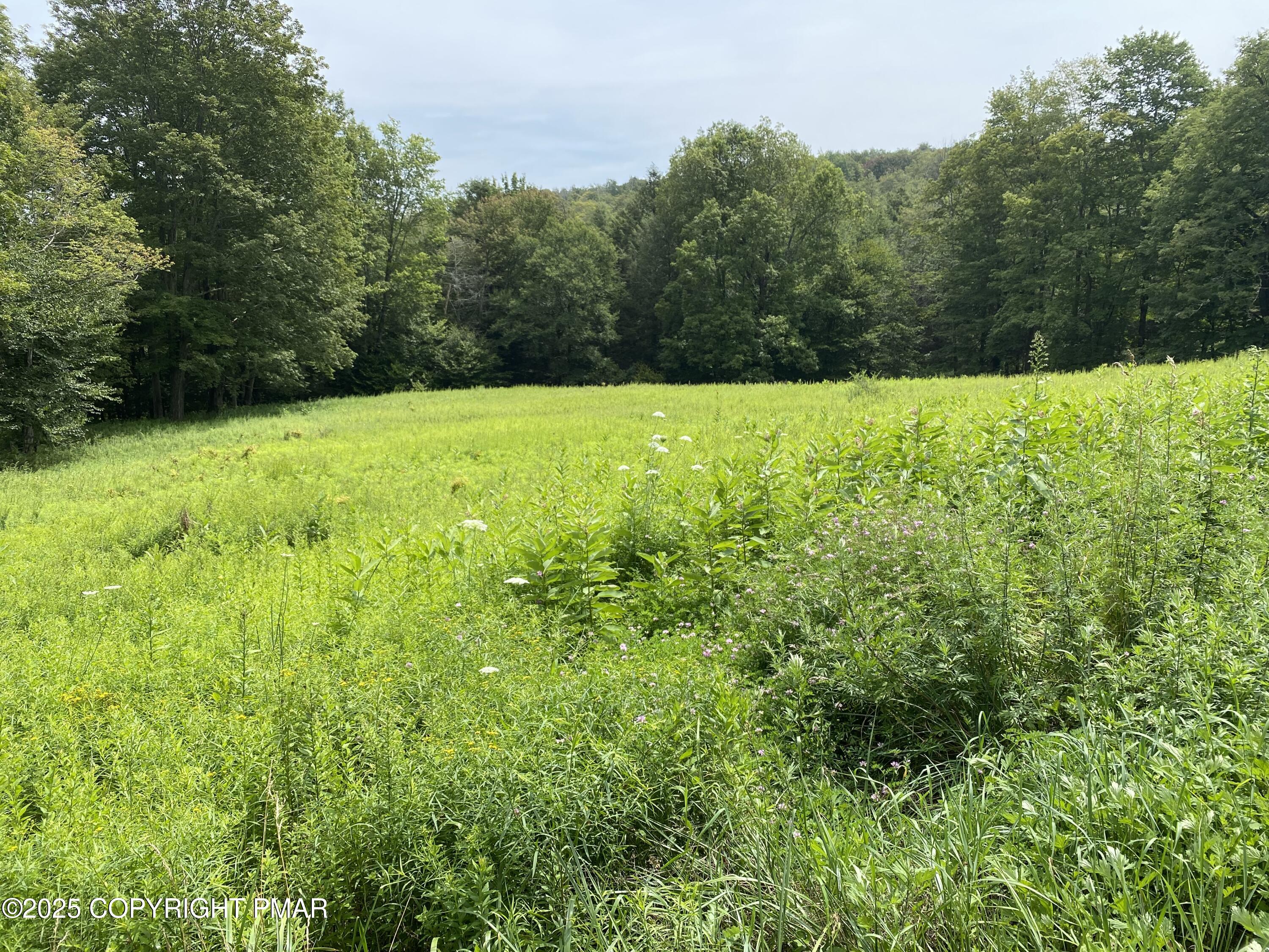 196 & 507 Newfoundland, PA 18445 - Photo 6 of 22 a view of an outdoor space with a lake view