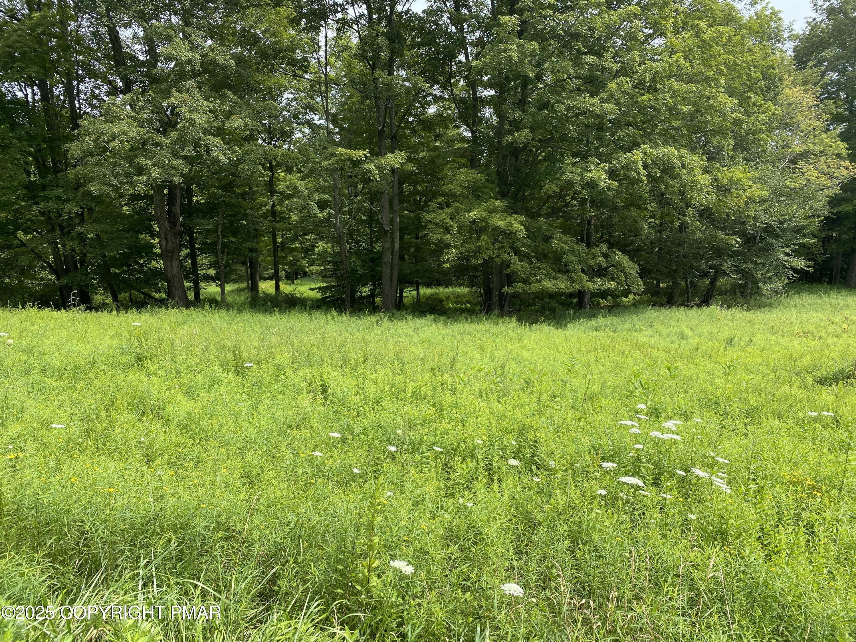 196 & 507 Newfoundland, PA 18445 - Photo 7 of 22 a backyard of a house with lots of green space