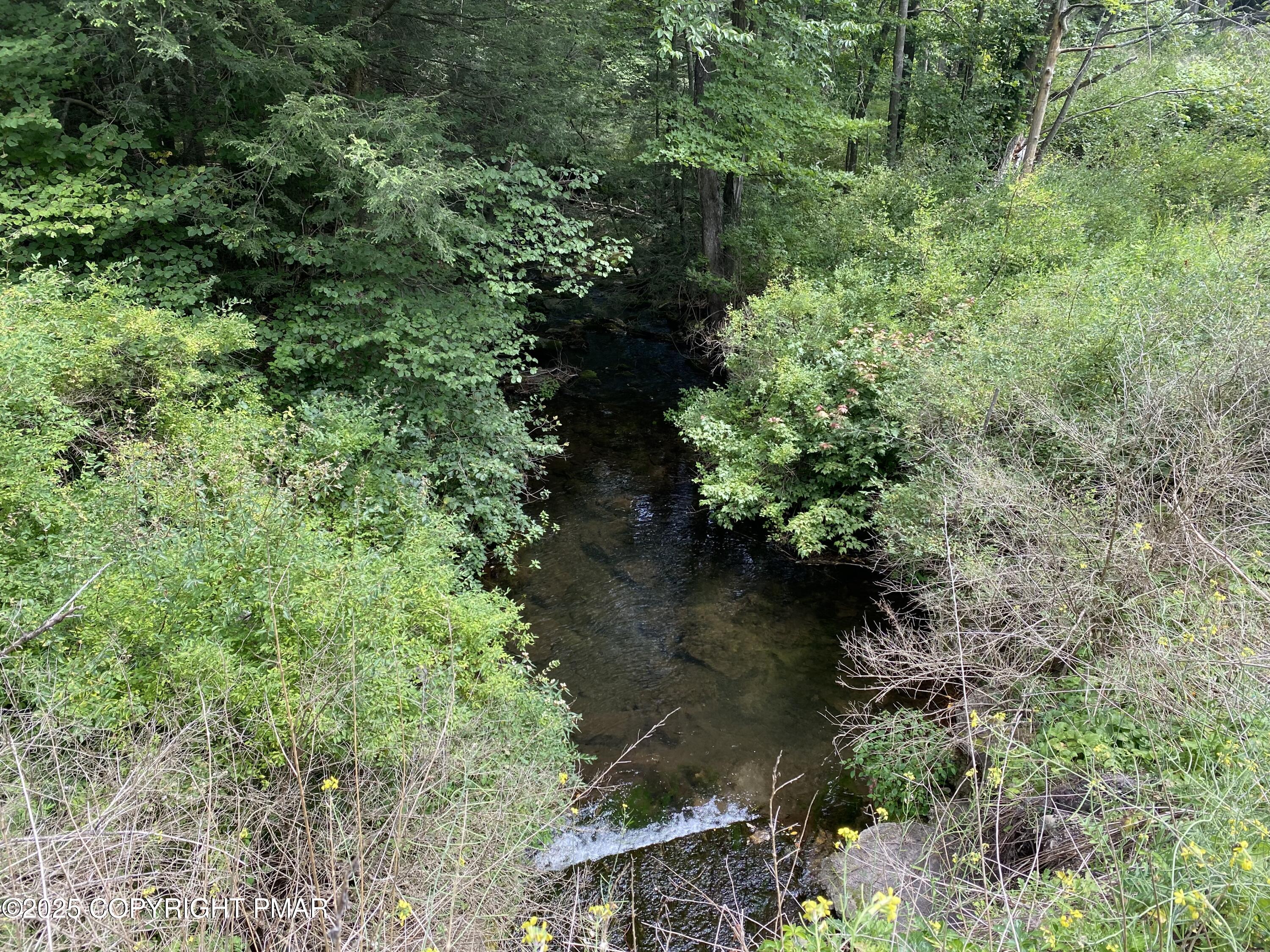 196 & 507 Newfoundland, PA 18445 - Photo 9 of 22 a view of a garden with plants and a bench